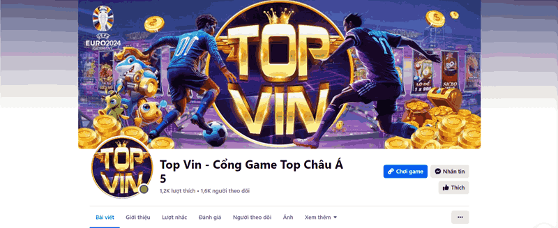 top-vin